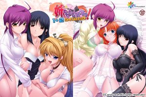 【ADV/AI汉化/后宫/萝莉/多P】姐姐，拜托你认真一点！2/姉、ちゃんとしようよっ！2[+全CG存档]【1.20G】-Acggame