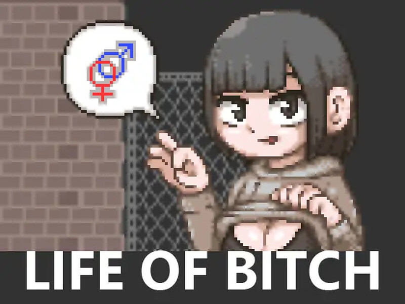 【探索SLG/像素全动态/汉化】婊子的生活（LIFE OF BITCH）V1.0 机翻汉化【400MB】-Acggame
