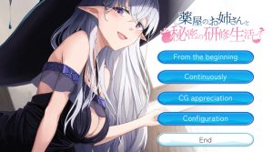 【经营SLG/亲热甜蜜/生肉】与药剂师姐姐的秘密研修生活（薬屋のお姉さんと秘密の研修生活） Ver1.1 DL原版生肉【1G】-Acggame