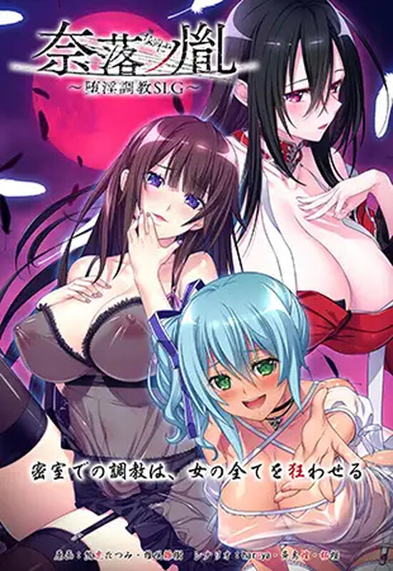 【互动SLG/SM/汉化】奈落之胤 ～堕淫调教SLG～（奈落ノ胤 ～堕淫調教SLG～）V1.10 AI汉化【2G】-Acggame