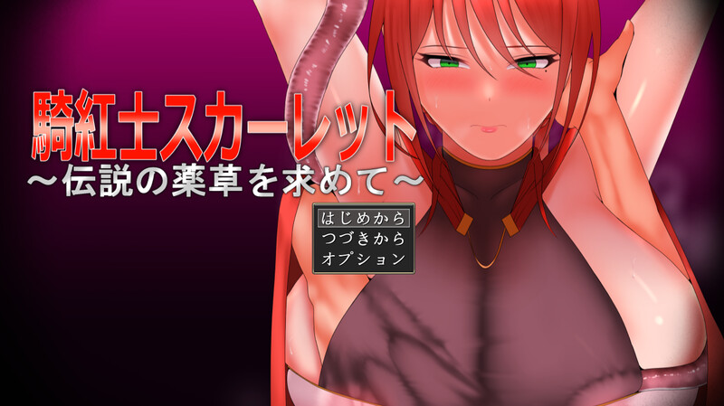 【回合RPG/阿黑颜/汉化】绯红骑士斯卡蕾特～追寻传说之药草～（騎紅士スカーレット～伝説の薬草を求めて～）V1.03 AI汉化【1G】-Acggame