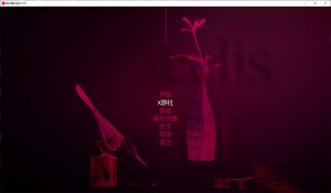 【欧美SLG/动态/汉化】阿拉塞利斯（Aracelis）V0.5P1 AI汉化版[PC+安卓][8月更新/2.8G]-Acggame