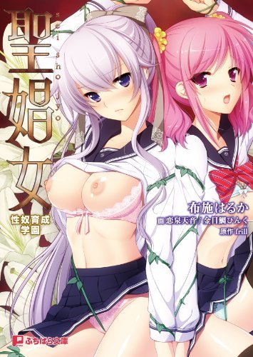 【ADV/汉化】聖娼女 ～性奴育成学園～AI汉化版+全CG存档★全CV[新汉化/3.2G]-Acggame